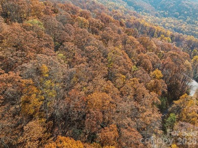Discover a rare opportunity to build your dream mountain estate - photo 31