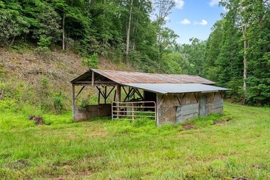 Access the peace and quite, just outside of Marion, VA. 39+ - photo 31