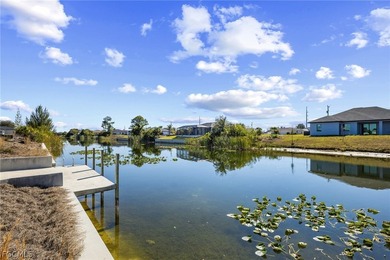 ***NEW SEAWALL & CONCRETE DOCK 20 X 13 1/2***This southern - photo 2