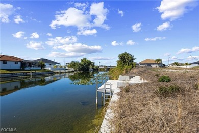 ***NEW SEAWALL & CONCRETE DOCK 20 X 13 1/2***This southern - photo 3