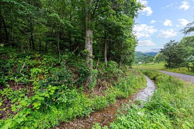 Access the peace and quite, just outside of Marion, VA. 39+ - photo 35