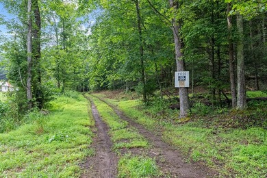 Access the peace and quite, just outside of Marion, VA. 39+ - photo 37