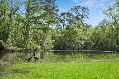 Tucked away with 18.4 acres on the navigable deep water - photo 40