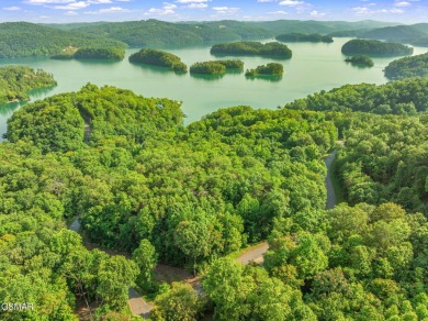 Lake Acreage For Sale in Sharps Chapel, Tennessee