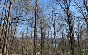 Lake Lot Off Market in Hayesville, North Carolina