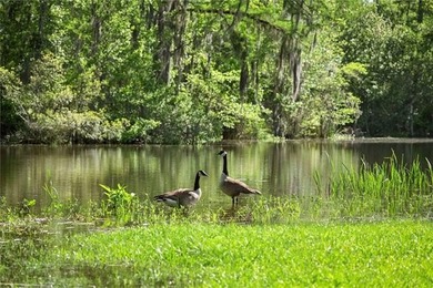 Tucked away with 18.4 acres on the navigable deep water - photo 41