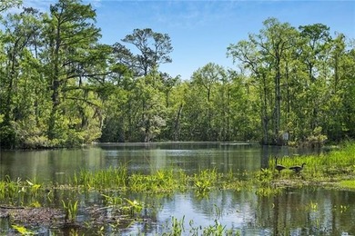 Tucked away with 18.4 acres on the navigable deep water - photo 42