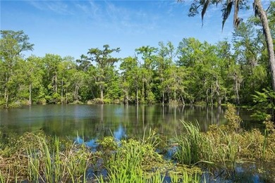 Tucked away with 18.4 acres on the navigable deep water - photo 43