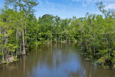 Tucked away with 18.4 acres on the navigable deep water - photo 45