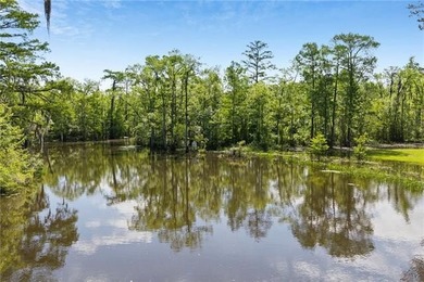 Tucked away with 18.4 acres on the navigable deep water - photo 46