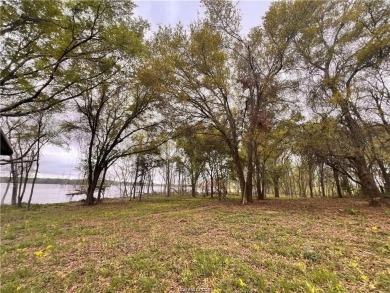 Lake Acreage For Sale in Jewett, Texas