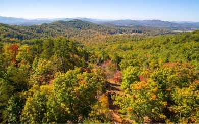 WOW!! Seasonal MOUNTAIN and LONG RANGE VIEWS OF LAKE CHATUGE on t - Lake Lot For Sale in Hayesville, North Carolina