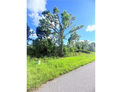 Port Charlotte Waterway Area Lot For Sale in Port Charlotte Florida