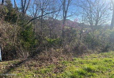Want to be in a lake community with spectacular views and - photo 3