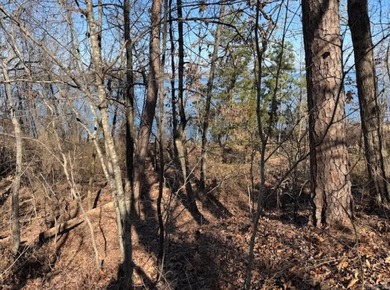 Additional listing photo 4