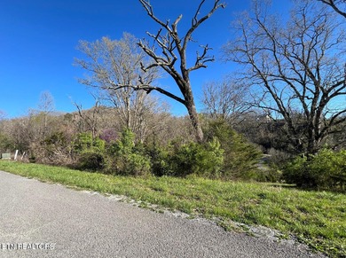 Want to be in a lake community with spectacular views and - photo 5