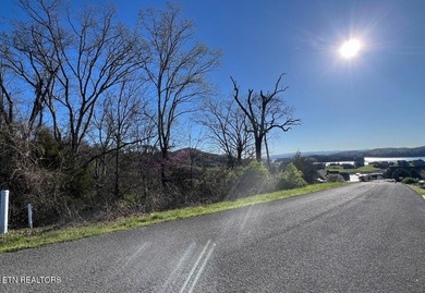 Want to be in a lake community with spectacular views and - photo 7