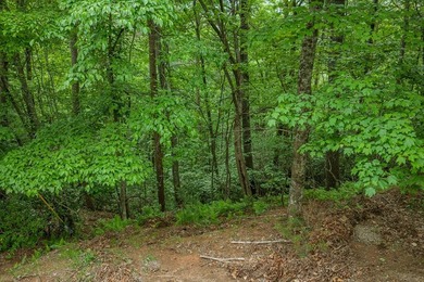 RIVERFRONT + LONG RANGE MOUNTAIN VIEWS OH MY STARS!!! Ready and - photo 11