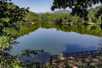 LAKE LURE---Affordable 3-bedroom, 2 bath, Southland Log Home on - photo 22