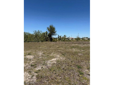 FRESHWATER LOT to build your dream home or invest in one of the - photo 3