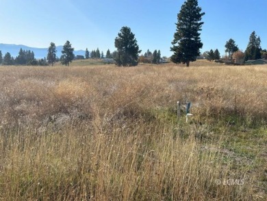 Lake Lot For Sale in Chiloquin, Oregon