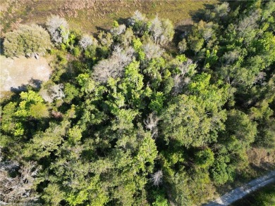 Lake Lot For Sale in Lake Placid, Florida