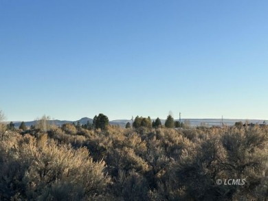 Lake Acreage For Sale in Christmas Valley, Oregon