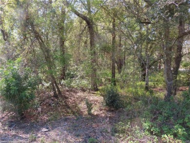 (private lake, pond, creek) Lot For Sale in Sebring Florida