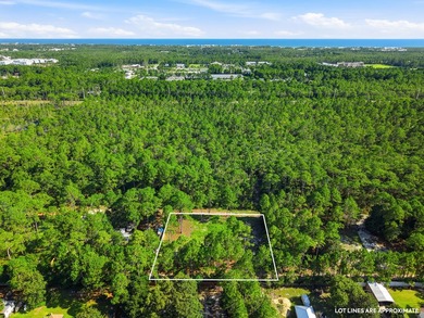 Discover the possibilities with this exceptional half acre - photo 2