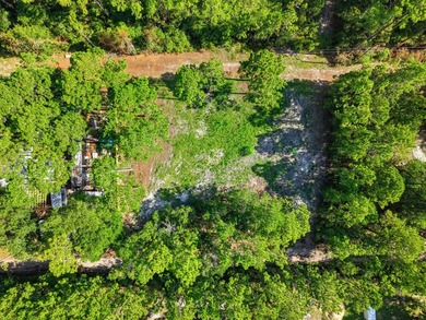 Discover the possibilities with this exceptional half acre - photo 5
