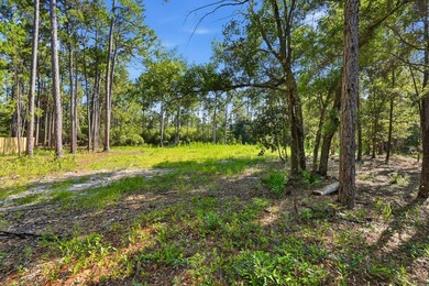 Discover the possibilities with this exceptional half acre - photo 8