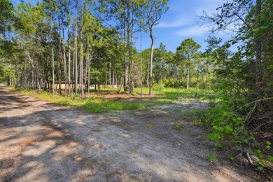 Discover the possibilities with this exceptional half acre - photo 9