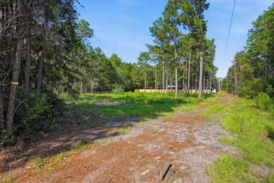 Discover the possibilities with this exceptional half acre - photo 10
