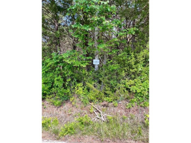 Lake Acreage For Sale in Lead Hill, Arkansas