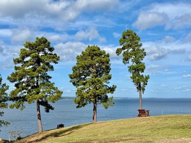Toledo Bend Lake Home For Sale in Milam Texas