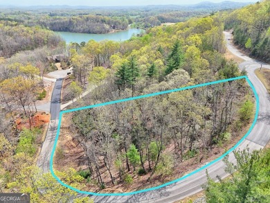 Lake Lot For Sale in Cleveland, Georgia