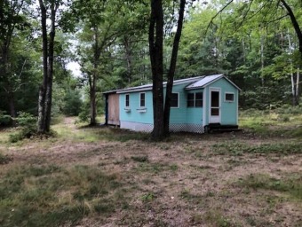 Lake Home Off Market in Brownfield, Maine