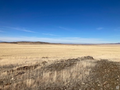 Great Salt Lake Acreage For Sale in Fillmore Utah