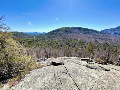 Untouched forest land under 480A management. Spectacular views - photo 4