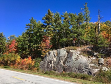 Untouched forest land under 480A management. Spectacular views - photo 8