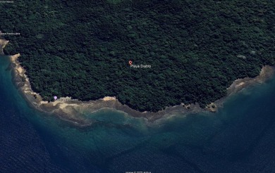 Beachfront Development Opportunity in Playa Diablo Taboga - photo 1