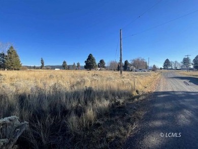 Two parcels offered together totaling .52 acres.Power, water - photo 6