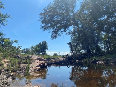 (private lake, pond, creek) Acreage For Sale in Valley Spring Texas