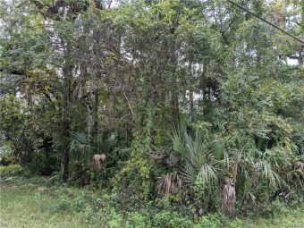 Lake Lot Off Market in Inverness, Florida