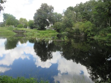Lake Lot For Sale in Ocklawaha, Florida