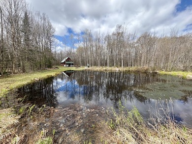 Tucked away at the end of a dead-end road, this off-grid camp - photo 2