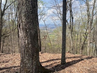 This awesome lot on top of the Ridge looks out over Cherokee - photo 2