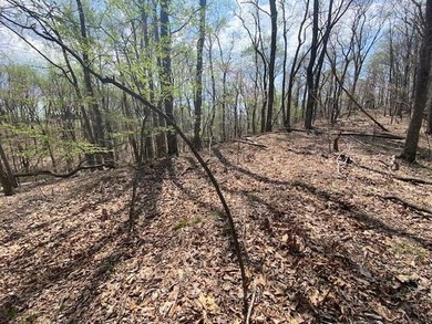 This awesome lot on top of the Ridge looks out over Cherokee - photo 3