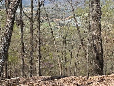 This awesome lot on top of the Ridge looks out over Cherokee - photo 4