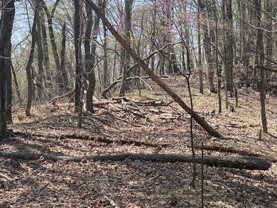This awesome lot on top of the Ridge looks out over Cherokee - photo 5